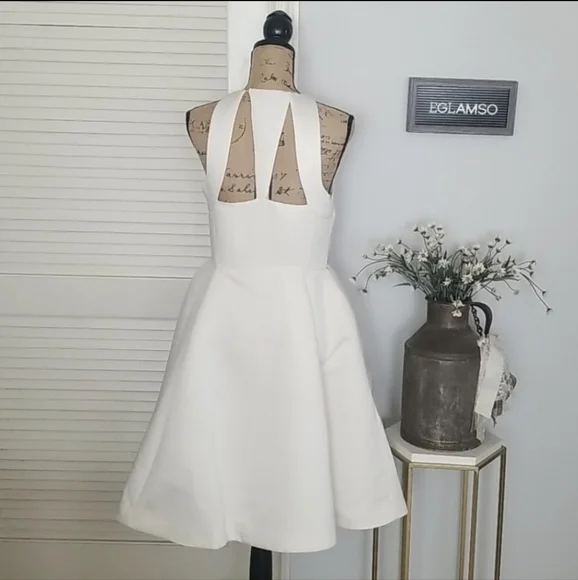 "Elegant Flair: Halston Heritage Satin Fit-and-Flare Dress" - Picture 9 of 10